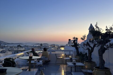 OLIVE TERRACE